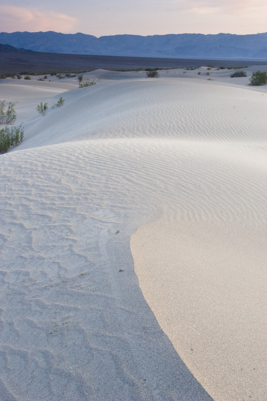 Mesquite Flat Sand Dunes At Sunset